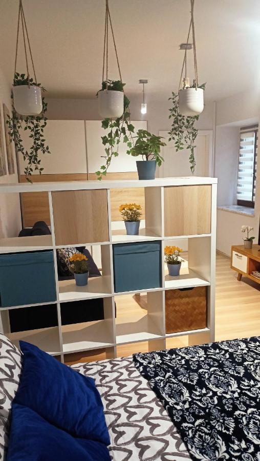 לובלין Apartament Granatowy Swietoduska 12 מראה חיצוני תמונה